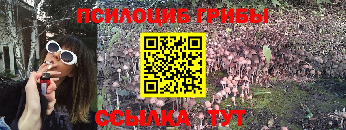 Псилоцибиновые грибы Psilocybe  Псилоцибиновые грибы мицелий  Первоуральск  Вход с VPN 