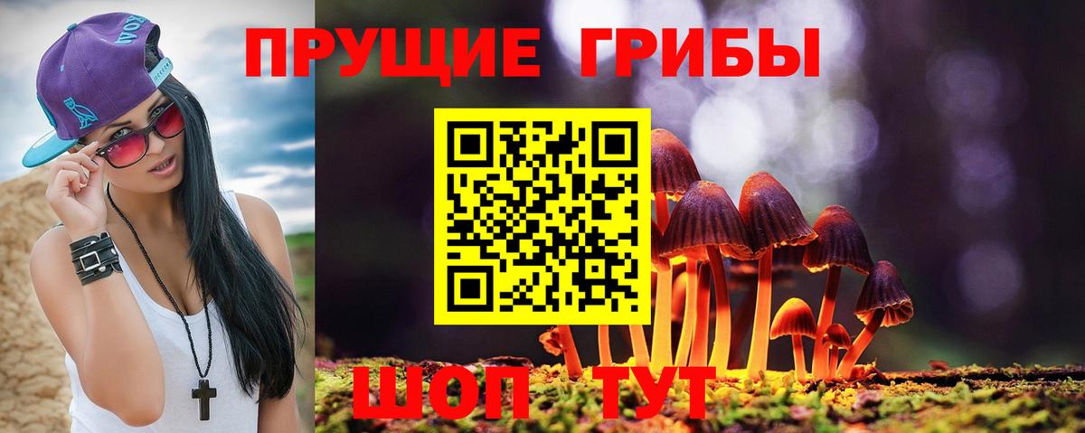 Галлюциногенные грибы Psilocybine cubensis Первоуральск